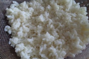 salat_iz_kalmarov_s_risom-169650.png
